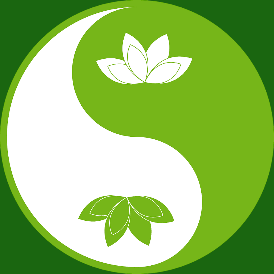 favicon.ico