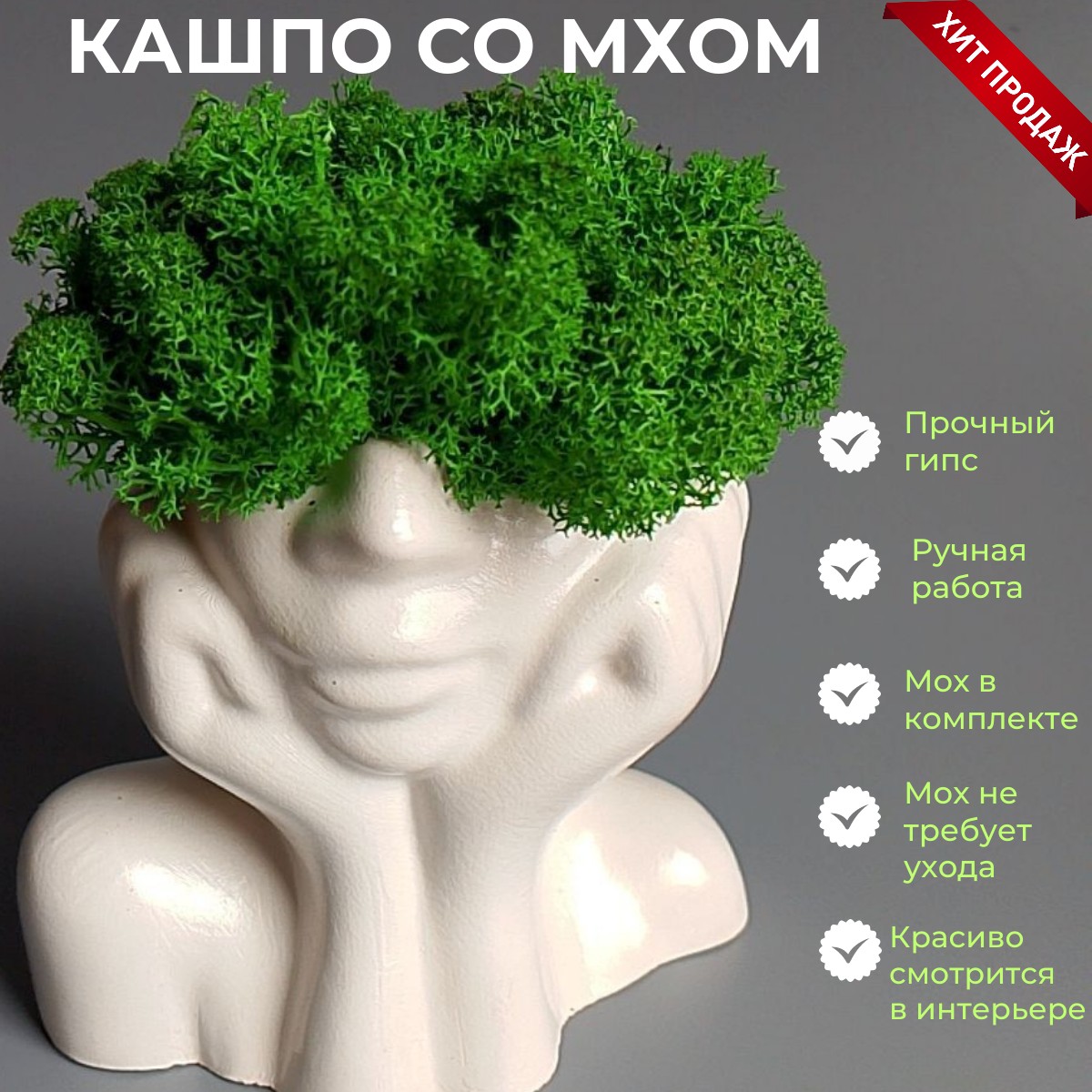 Кашпо со стабилизированным мхом